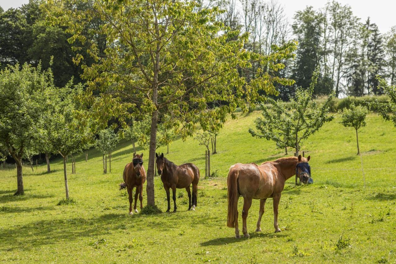 Hof Wagenberg Ferienwohnung 1 Deggenhausertal Eksteriør bilde